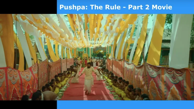 Pushpa- The Rule - Part 2 Movie MoviesFlix